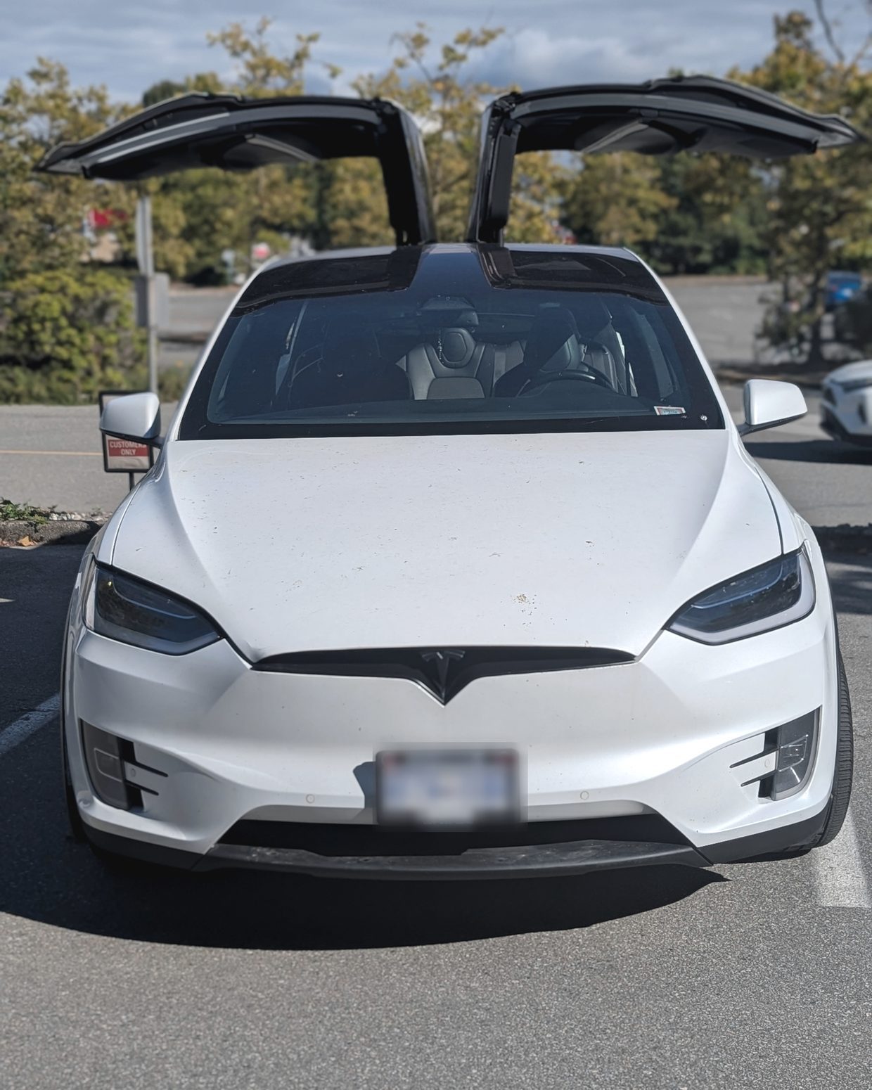 White Tesla Model X with both falcon doors open at a mobile glass appointment